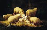 unknow artist Sheep 062 oil painting on canvas